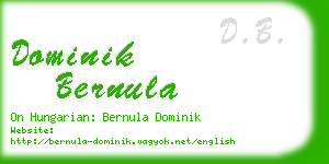 dominik bernula business card